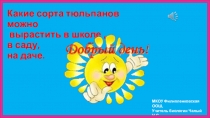 Презентация по биологии Какие сорта тюльпанов можно посадить в школе,в саду,на даче