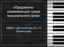 Предметно-развивающая среда музыкального зала