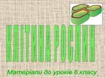 Презентація з біології Клітина рослин (6 клас)