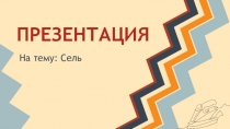 Презентация по ОБЖ на тему Сель ( 8 класс)