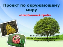 Презентация по окружающему миру. Проект ученика 3 класса Чернявского Даниила Необычный гриб