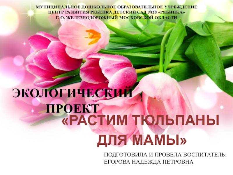 Презентация Презентация к проекту: Тюльпаны для мамы