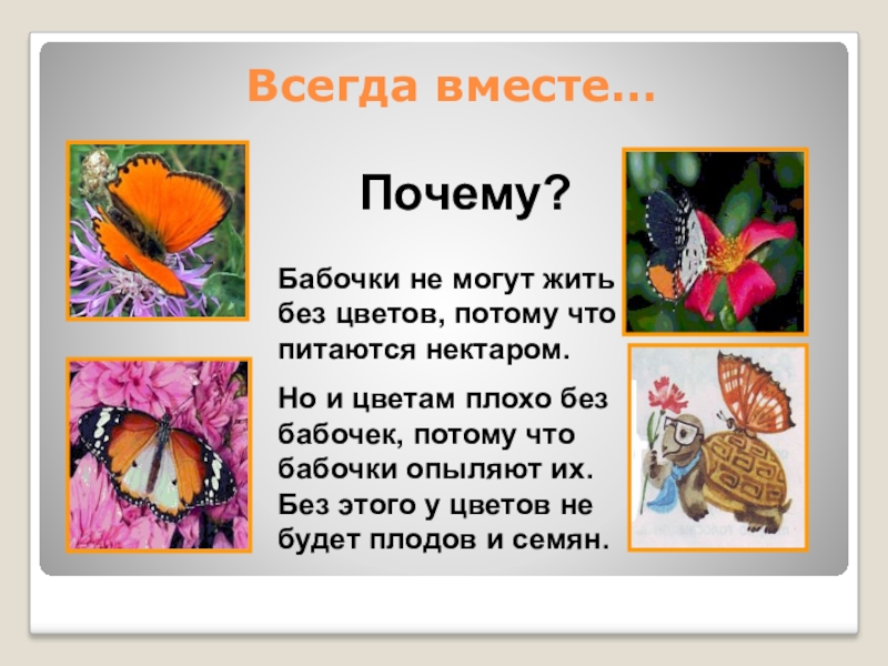 Презентация по окружающему миру 1 класс почему их так назвали школа россии