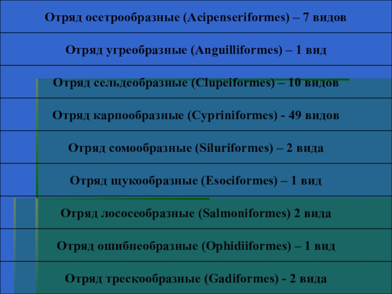 Ты и твое имя кубановедение 3 класс презентация