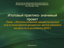 Тема: Использование дидактических игр в сенсорном развитии детей раннего возраста в условиях ДОУ