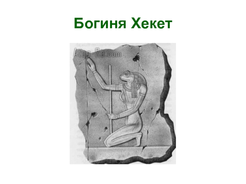 кук египетский бог. хекат бог египта. хекет бог египта. гермопольская огдоада. богиня с головой жабы.