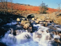 Презентация по русскому языку на тему Правописание приставок на з,с (5 класс)
