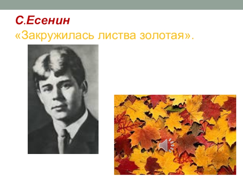 Есенин закружилась листва золотая. Сергей Есенин листва Золотая. Сергей Есенин закружилась листва Золотая. Сергей Есенин — закружилась листва. Стих закружилась листва Золотая Сергей Есенин.