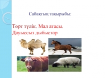 Презентация урока для начальных классов тема Домашние животные (1 класс)