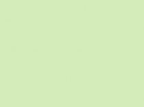 Презентация для экологической игры 1-4 класс