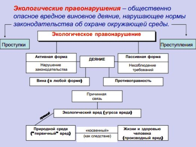 Сложный план экологическое право по обществознанию