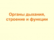Презентация по возрастной анатомии, физиологии и гигиене на тему