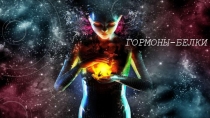 Презентация 10 класс Гормоны-белки