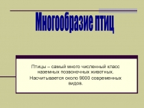 Многообразие птиц