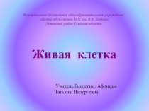 Презентация к уроку Живая клетка