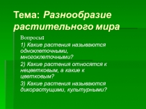 Презентация по биологии на тему Строение цветкового растения.