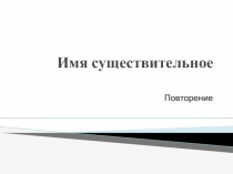Презентация по русскому языку на тему Имя существительное 6 класс