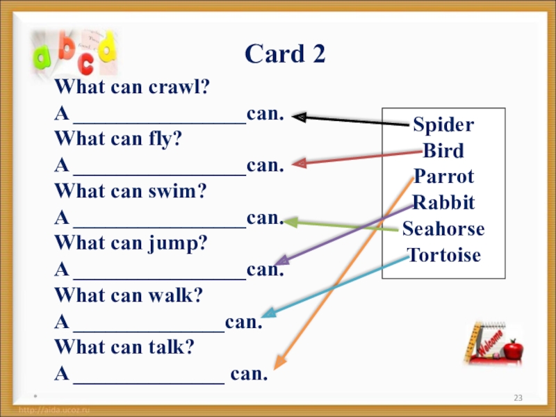 What can. What can Crawl перевод. What can Crawl a Spider can. What can Crawl песня. What can Crawl a Spider can слушать.