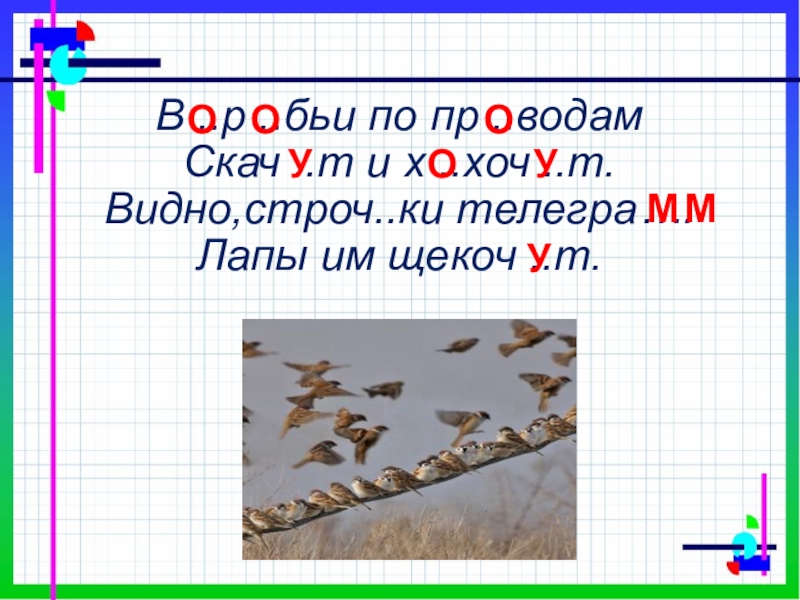 Воробей предложение. Воробьи по проводам скачут и хохочут. Воробьи по проводам. Маршак воробьи по проводам. Предложение про воробья.