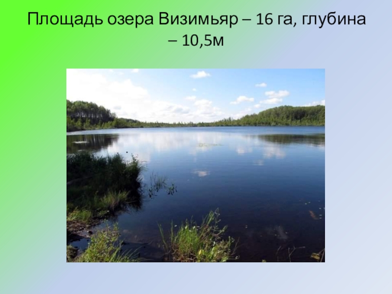 Какая площадь озера. Площадь озера. Визимьяры озеро. Как найти площадь озера. Площадь озера площадь у озера.