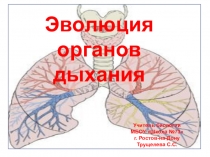 Презентация по биологии для 7 класса на тему Эволюция органов дыхания