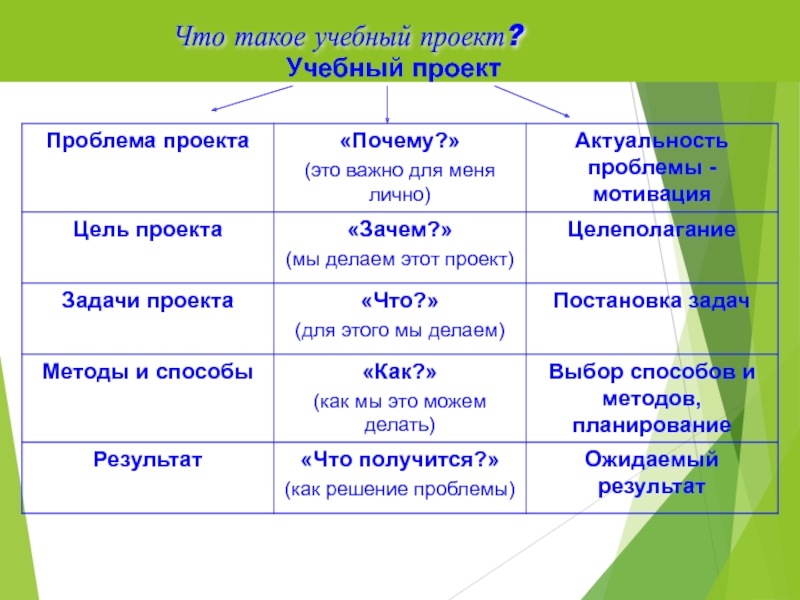 Что такое воспитательный проект