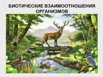 Презентация по биологии Биотические взаимоотношения организмов