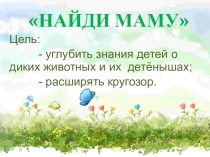 Презентация к дидактической игреНайди маму