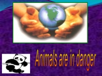 Animals are in danger