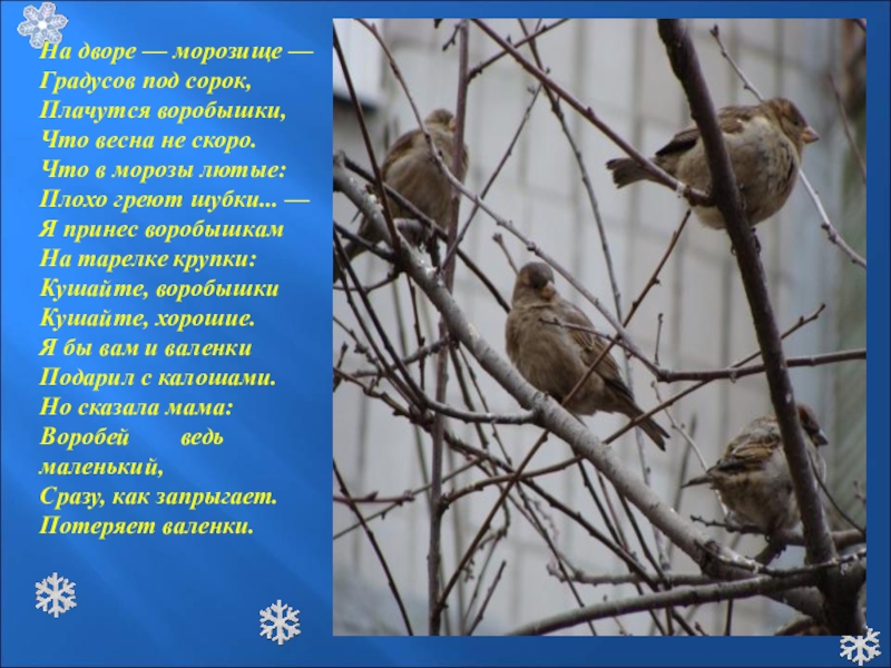 Сильная жара. Градуснмк с температурой40. Под сорок градусов. Звягина воробей. Стих.