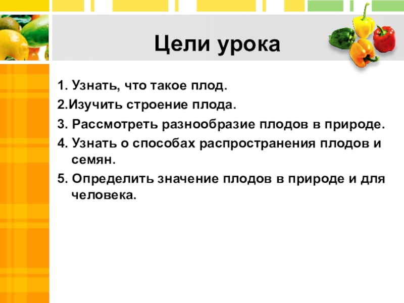 Презентация разнообразие плодов 6 класс. Презентация на тему разнообразие плодов 6 класс. Какое значение имеет разнообразие плодов в природе. Введение на тему плоды. Вывод о значении плодов.