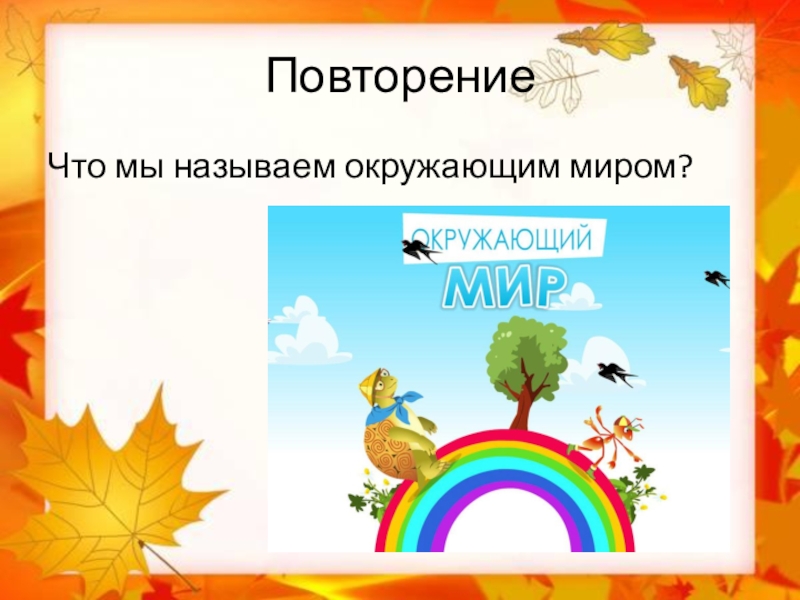 Окружающий мир 1 класс времена года презентация 1 класс