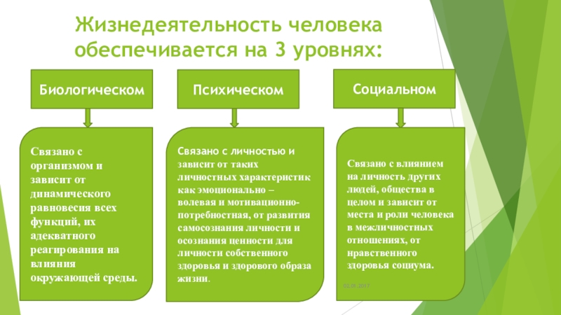 Системы жизнедеятельности человека презентация