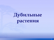 Презентация по биологии на тему Дубильные растения