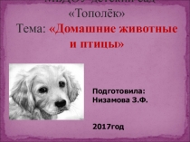 Презентация Домашние животные и птицы