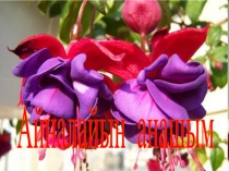 Презентатция 8 март