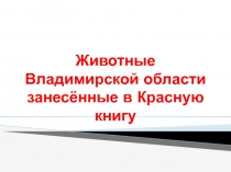 Презентация к уроку Представители животного мира занесенные в Красную книгу Владимирской области