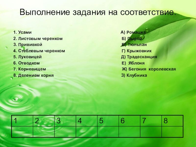 Проект на тему растения 6 класс технология