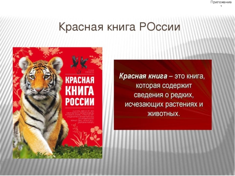 Презентация Презентация по окружающему миру на тему: Красная книга России