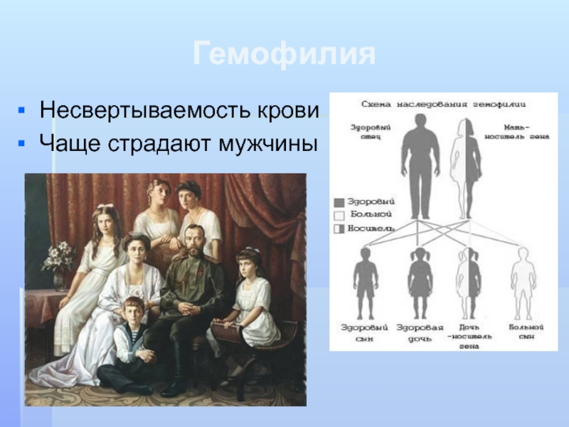 Презентация по биологии гемофилия