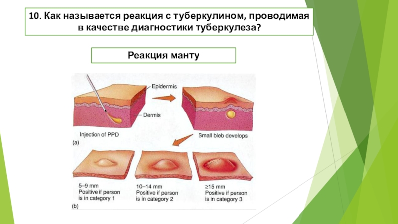 Как называется реакция