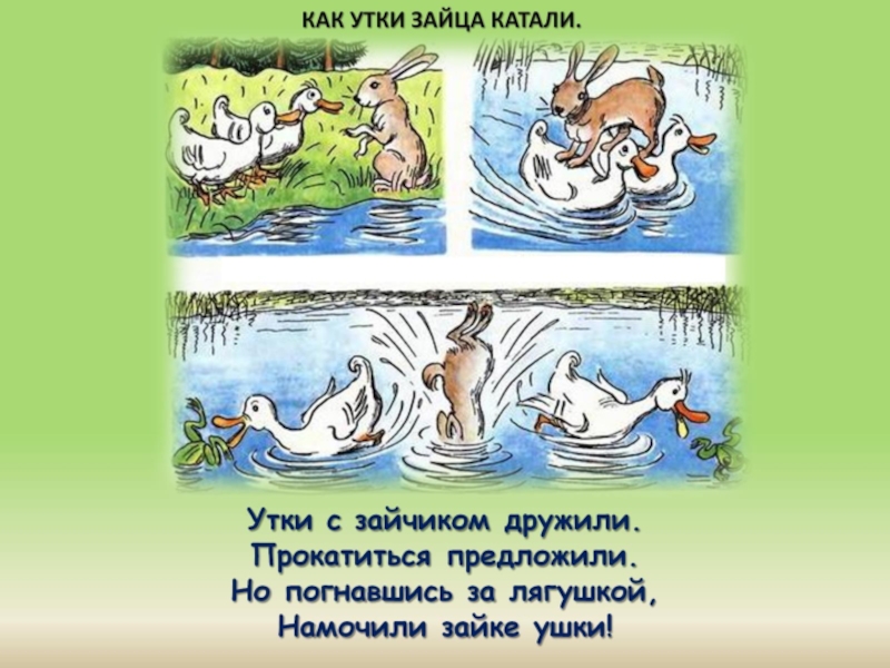 Анекдот про уточку и лебедей. Как утки зайца катали. Зайцы и утки. Рассказы в картинках н.Радлова серия как утки зайца катали. Утка в зайце.