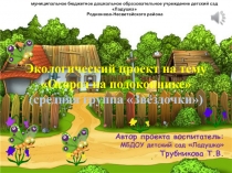 Презентация:Экологический проект на темуОгород на подоконнике(средняя группаЗвёздочки)