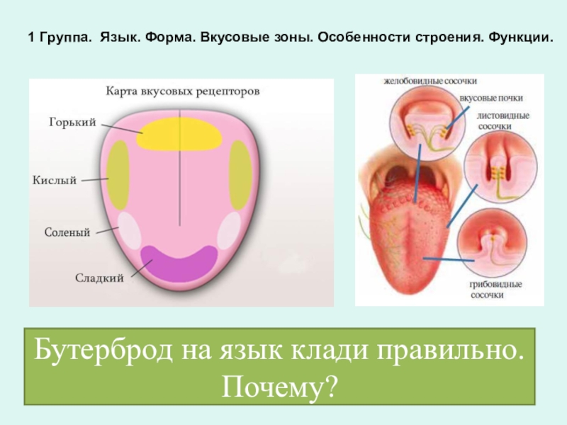 Существует 2 формы языка