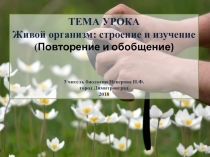 Презентация к уроку биологии на тему Живой организм: строение и изучение (5класс)