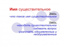 Имя существительное