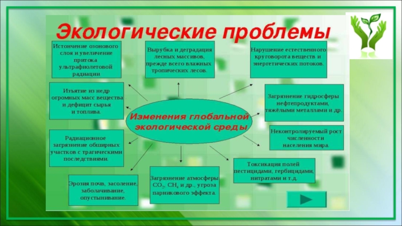 План для презентации по экологии