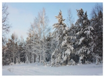 Презентация к устному журналу Зимушка-зима