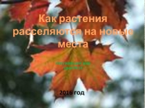 Презентация по окружающему миру на темуКак растения расселяются на новые места(1класс)
