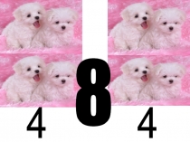 Презентация Сложение с суммой 8-9